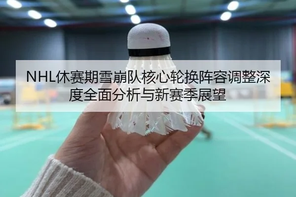 NHL休赛期雪崩队核心轮换阵容调整深度全面分析与新赛季展望