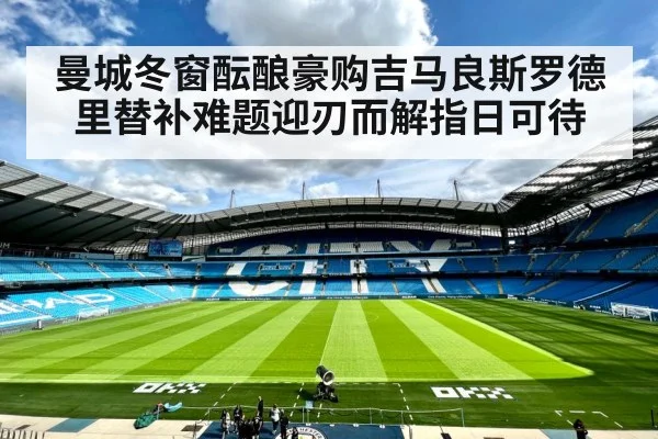 曼城冬窗酝酿豪购吉马良斯罗德里替补难题迎刃而解指日可待